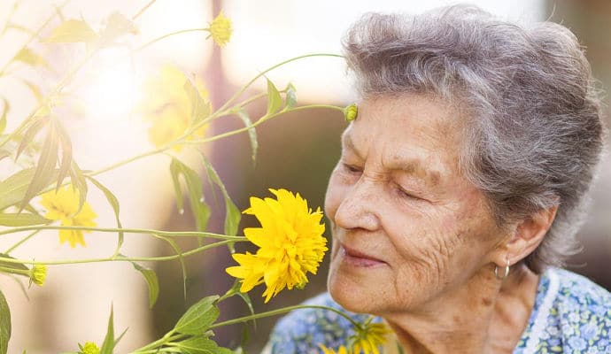 Aromatherapy Stress Relief for Seniors and Caregivers – DailyCaring