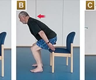 sit to stand exercise
