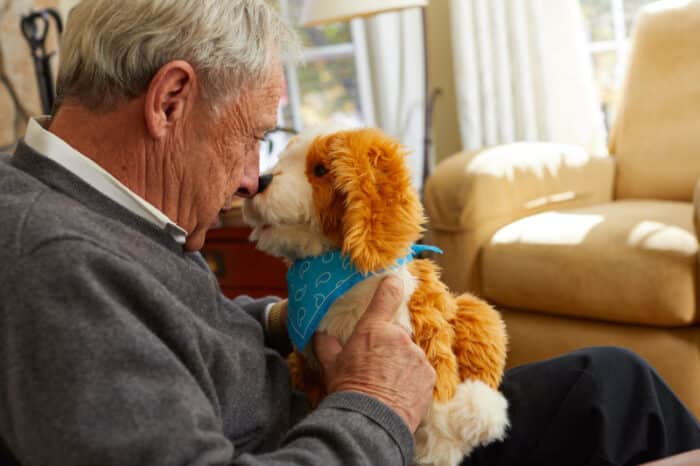 Lifelike robotic pets bring joy to people with dementia